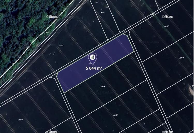 Prodej pole v k.ú. Majetín