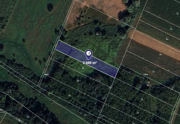 Prodej louky v k.ú. Moravský Písek