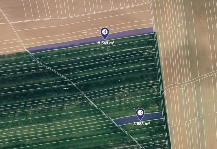 Prodej pole v k.ú. Brníkov