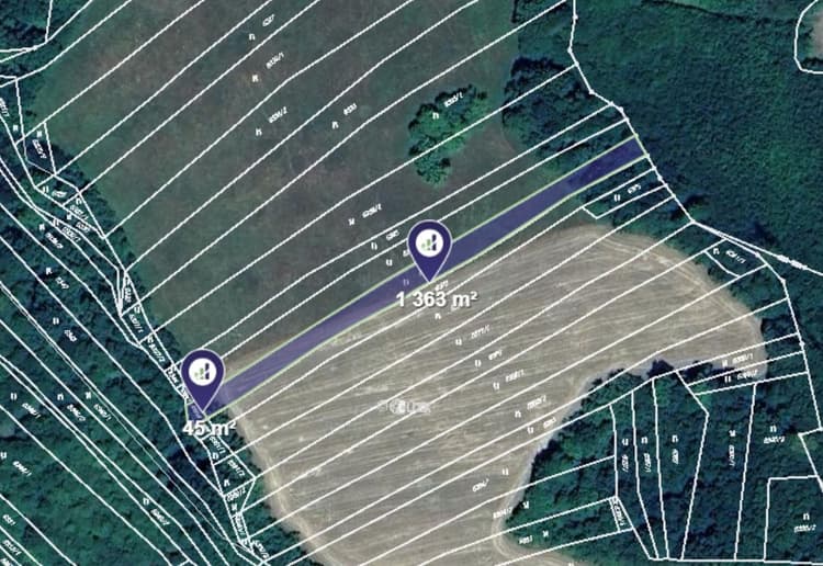 Prodej louky v k.ú. Nová Lhota u Veselí nad Moravou