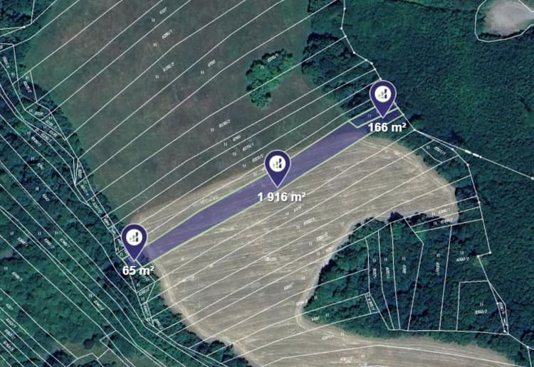 Prodej louky v k.ú. Nová Lhota u Veselí nad Moravou