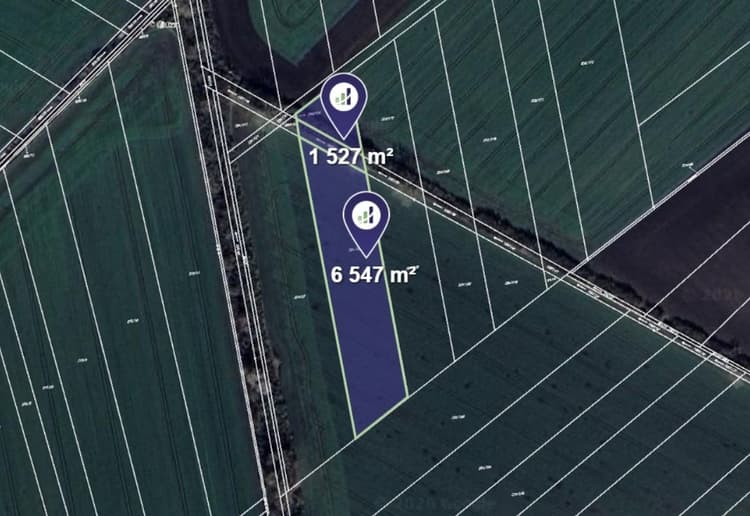 Prodej pole v k.ú. Okřínek