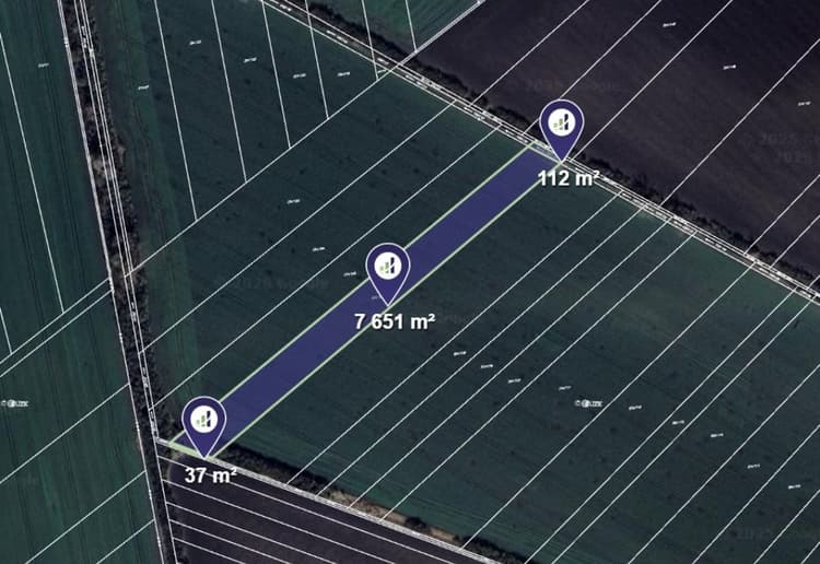 Prodej pole v k.ú. Okřínek