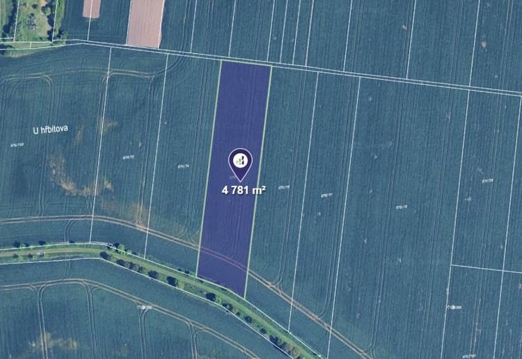 Prodej pole v k.ú. Kobylnice u Brna