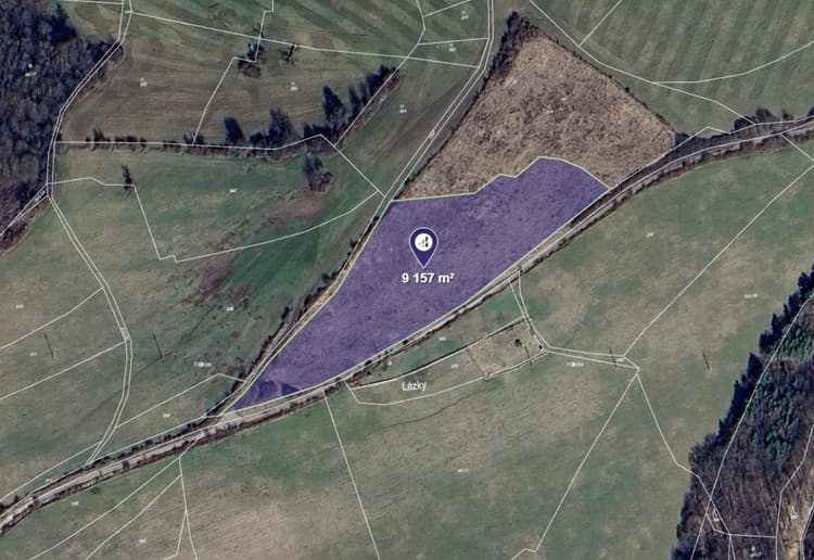 Prodej louky v k.ú. Kladná Žilín