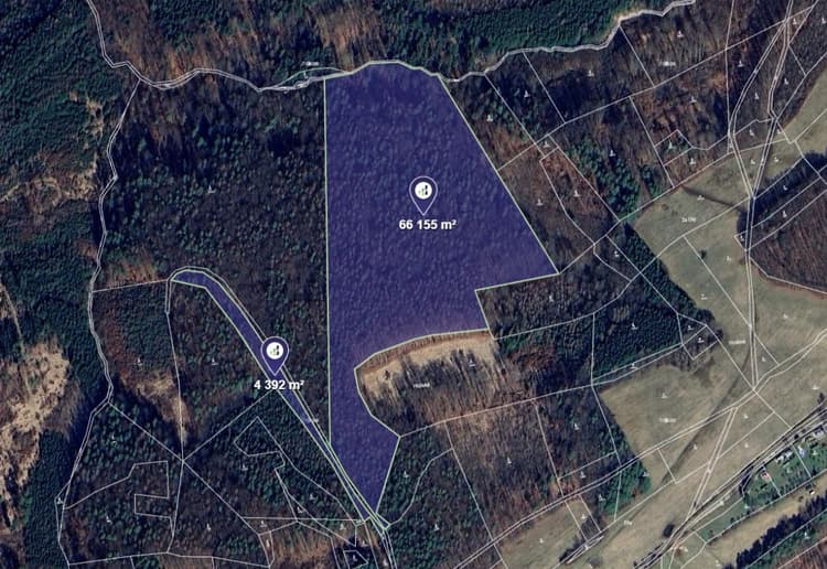 Prodej lesu v k.ú. Kladná Žilín