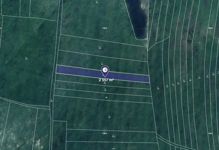 Prodej louky v k.ú. Skoky u Staměřic