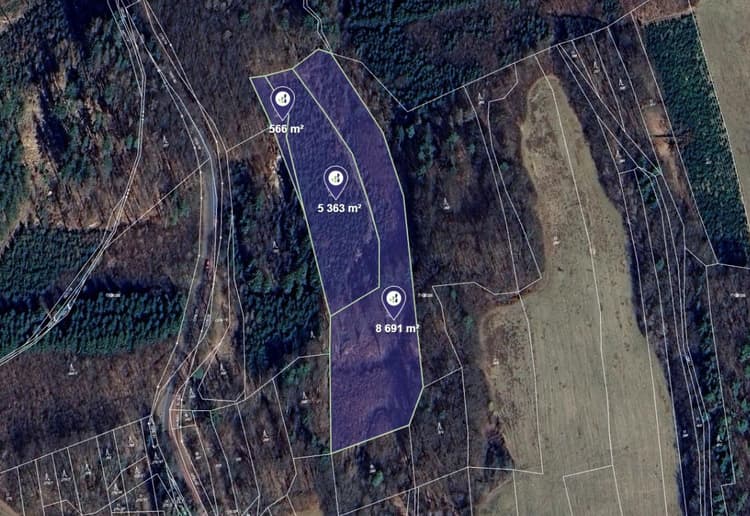 Prodej lesa v k.ú. Petrůvka u Slavičína