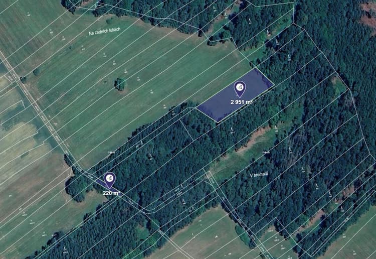 Prodej louky v k.ú. Chlumská