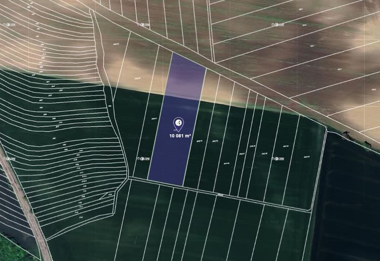 Prodej pole v k.ú. Násedlovice