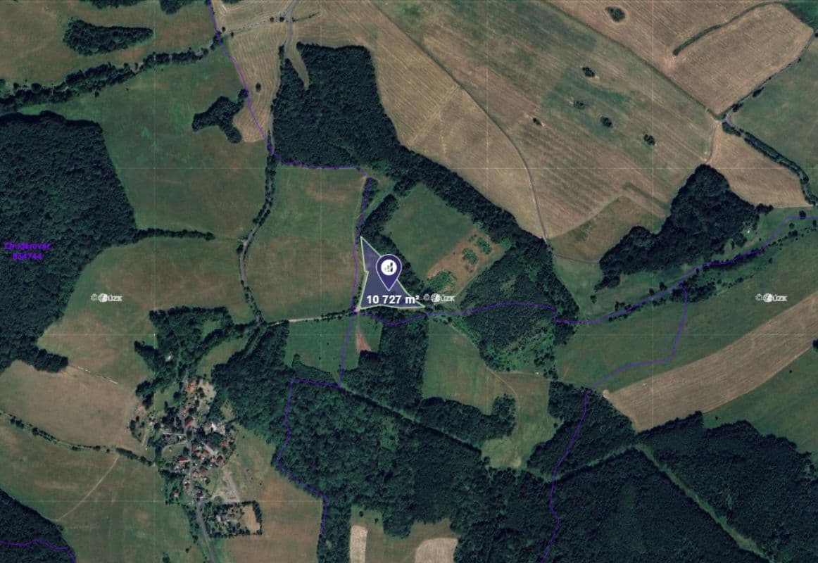 Velké Chvojno - foto 1