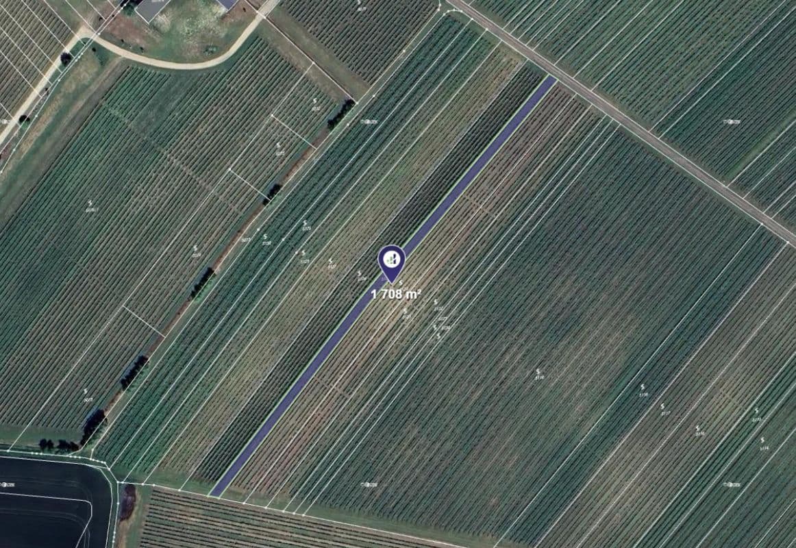 Velké Pavlovice - foto 0