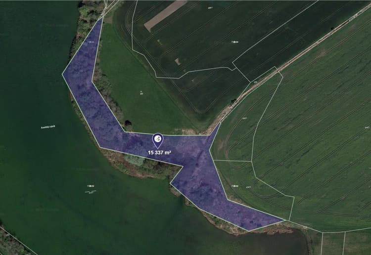 Prodej louky v k.ú. Kosořice