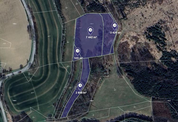 Prodej louky v k.ú. Petrov