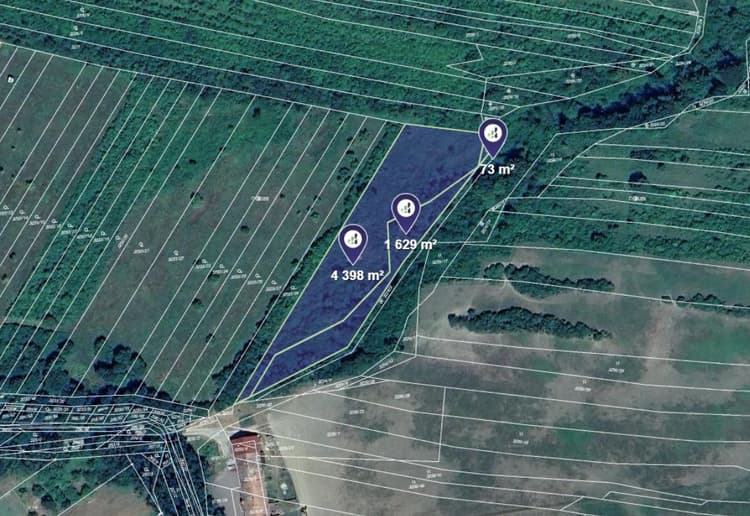 Prodej sadu v k.ú. Velká nad Veličkou