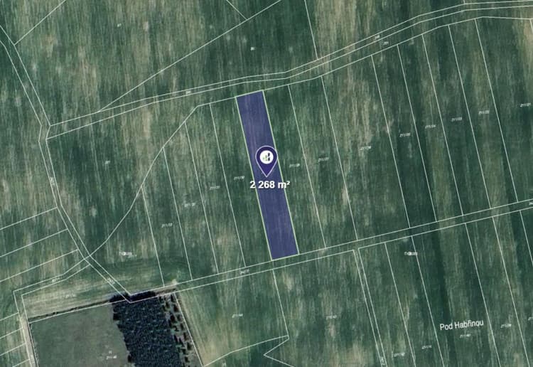 Prodej pole v k.ú. Licoměřice