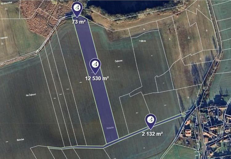 Prodej pole v k.ú. Křešice u Čížové