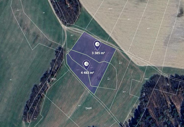 Prodej pole v k.ú. Protivanov