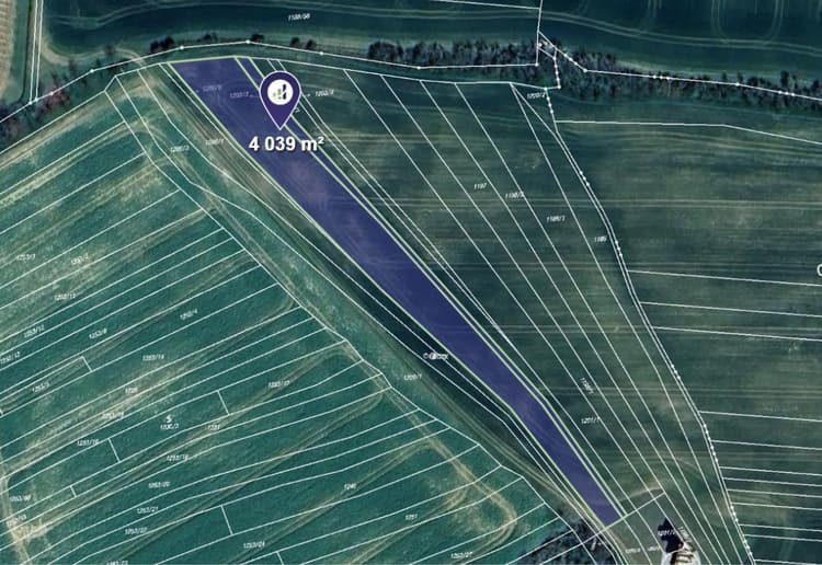 Prodej pole v k.ú. Hýsly