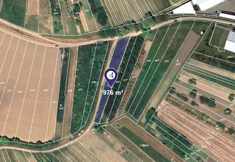 Prodej pole v k.ú. Kobylí na Moravě