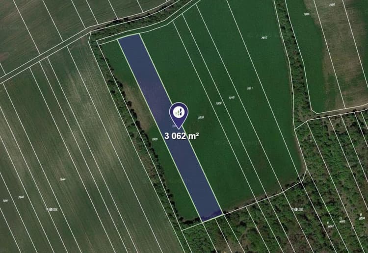 Prodej pole v k.ú. Kobylí na Moravě