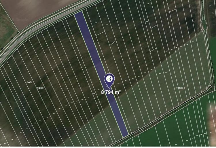 Prodej pole v k.ú. Kobylí na Moravě