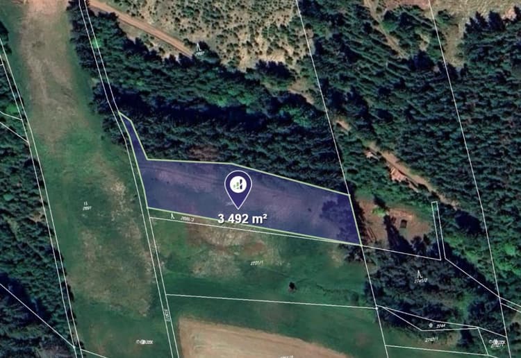 Prodej lesa v k.ú. Čistá u Horek