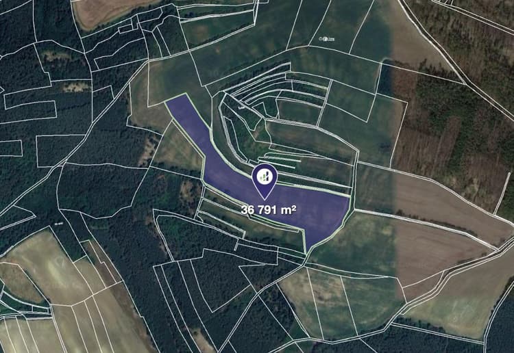 Prodej pole v k.ú. Stračí