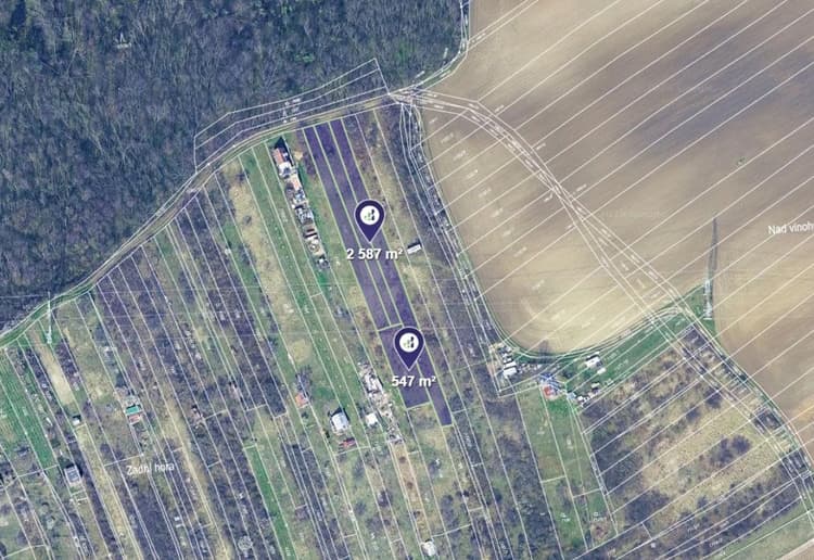 Prodej zahrady v k.ú. Kobeřice u Brna