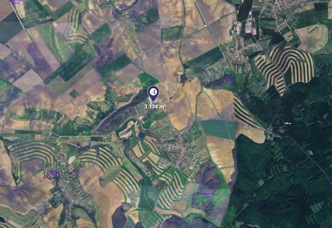 Kobeřice u Brna - foto 1