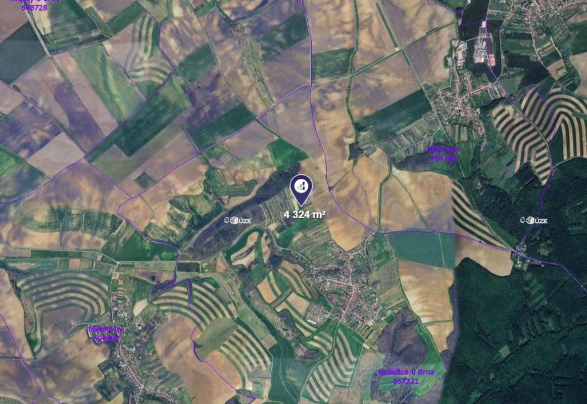 Kobeřice u Brna - foto 1