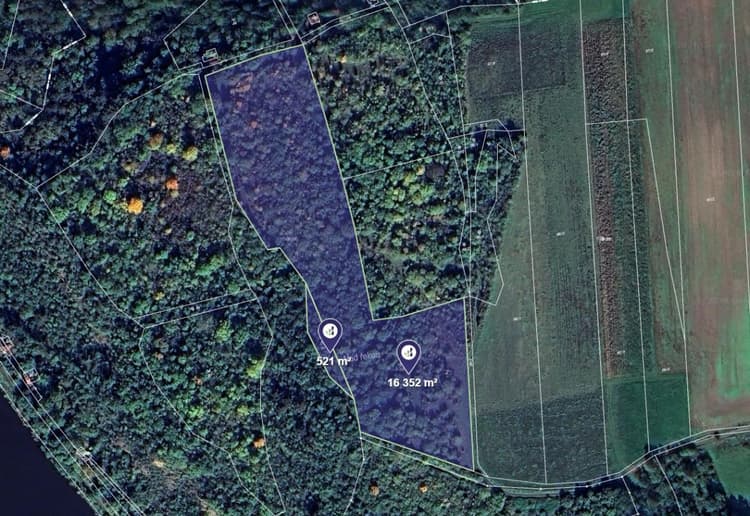 Prodej louky v k.ú. Máslovice