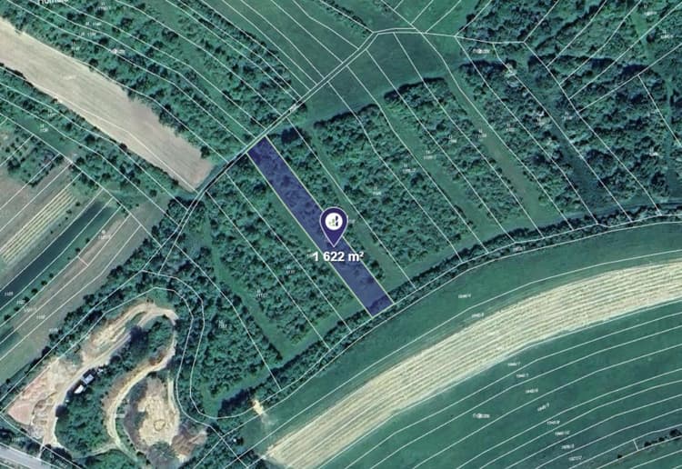 Prodej louky v k.ú. Dambořice