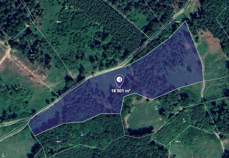 Prodej lesa v k.ú. Jasenná na Moravě