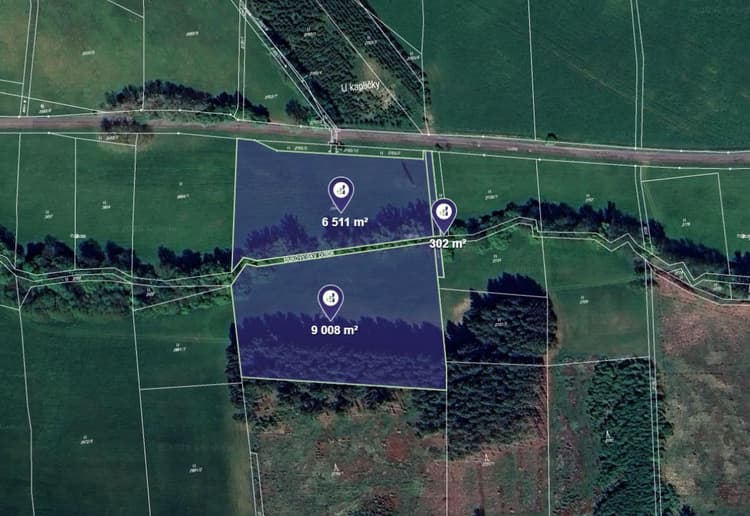 Prodej louky v k.ú. Čistá u Horek