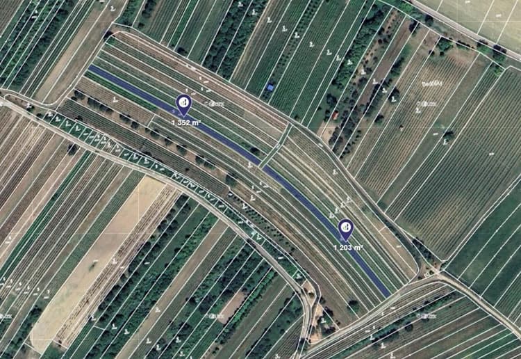 Prodej vinice v k.ú. Velké Pavlovice