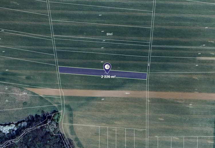 Prodej pole v k.ú. Kvasice