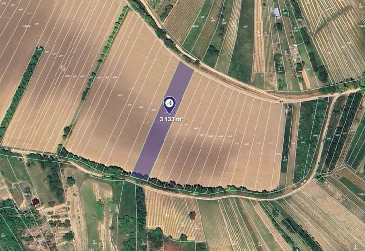 Prodej pole v k.ú. Kobylí na Moravě