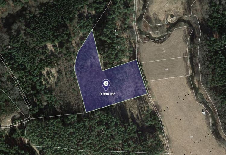 Prodej lesu v k.ú. Kňovice