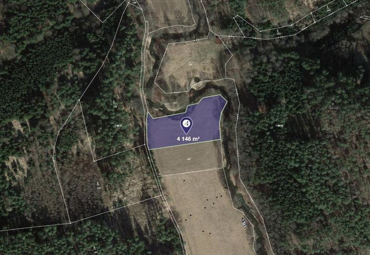 Prodej louky v k.ú. Kňovice