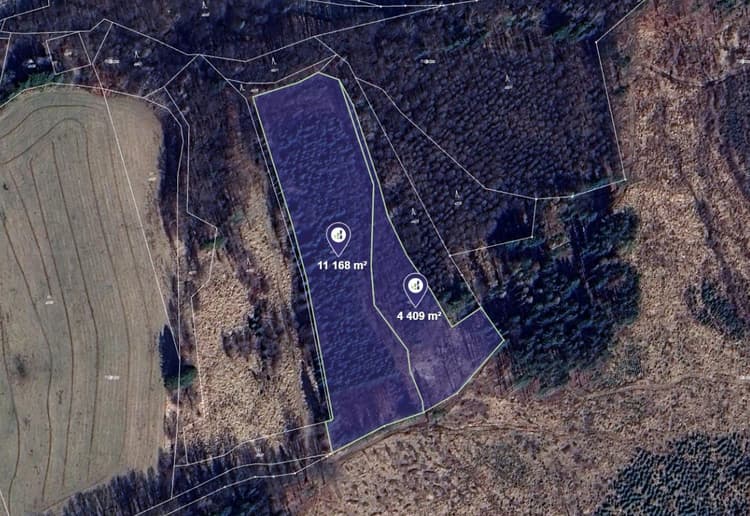 Prodej lesa v k.ú. Mikulovice u Jeseníka