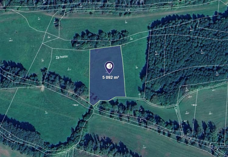 Prodej louky v k.ú. Dražovice u Sušice