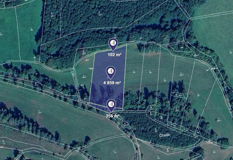 Prodej louky v k.ú. Dražovice u Sušice