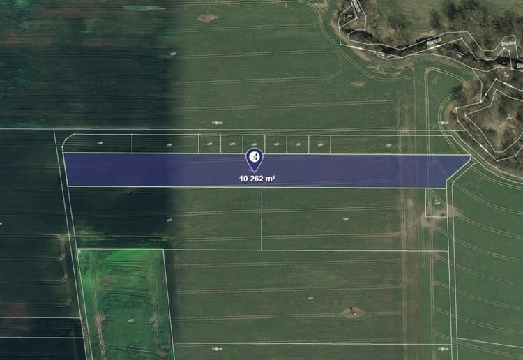 Prodej pole v k.ú. Šipoun