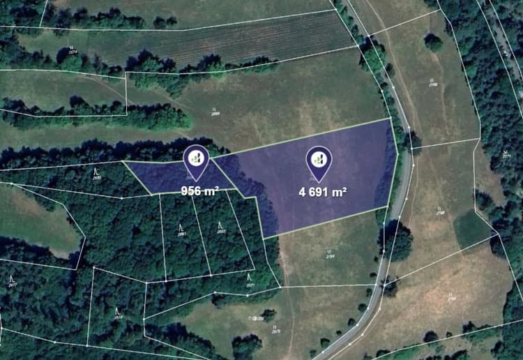 Prodej louky v k.ú. Lutonina