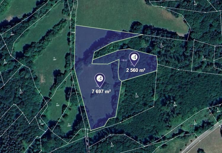 Prodej louky v k.ú. Lutonina