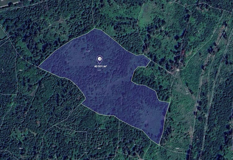 Prodej lesa v k.ú. Olšovec