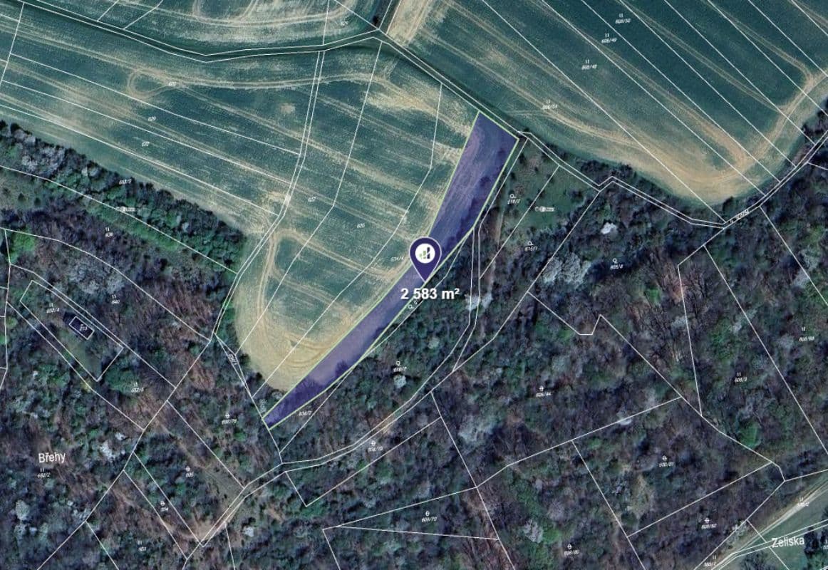 Nová Dědina - foto 1