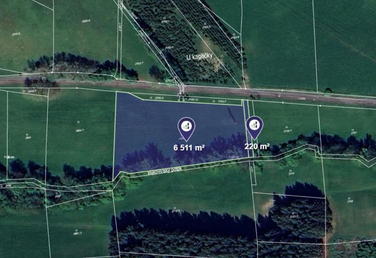 Prodej louky v k.ú. Čistá u Horek