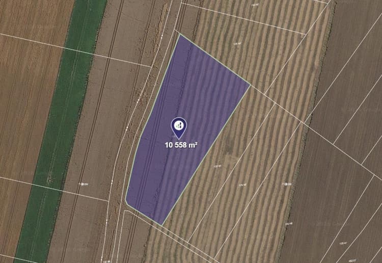 Prodej pole v k.ú. Jičíněves